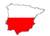 ABEGINET SERVICIOS INFORMÁTICOS - Polski